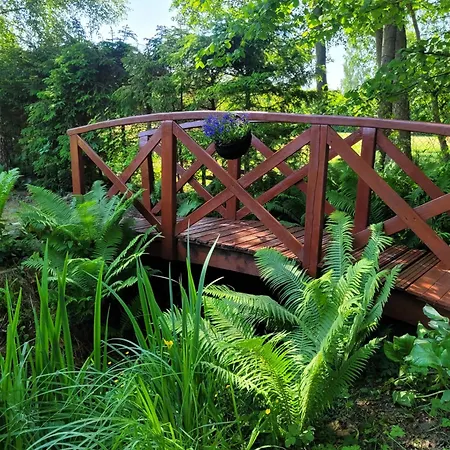 Meduza Garden Dom wakacyjny