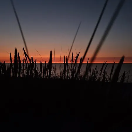 Meduza Garden Dom wakacyjny