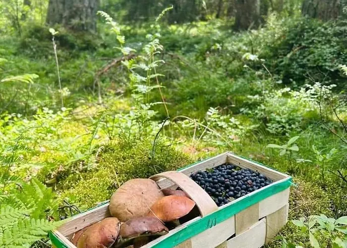 Meduza Garden * Białogóra