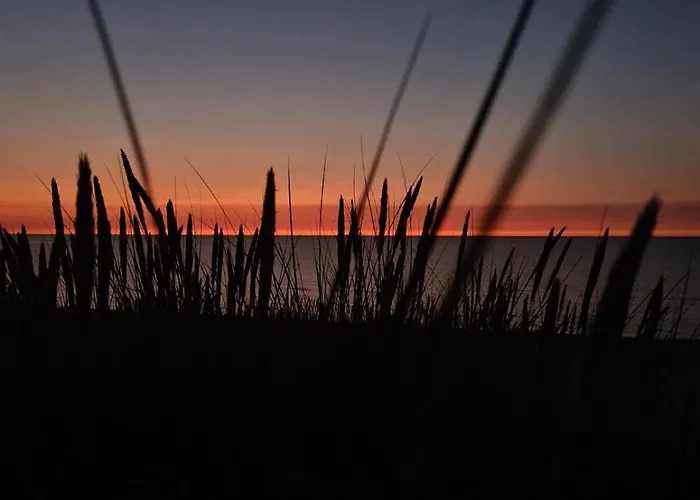 Meduza Garden Dom wakacyjny