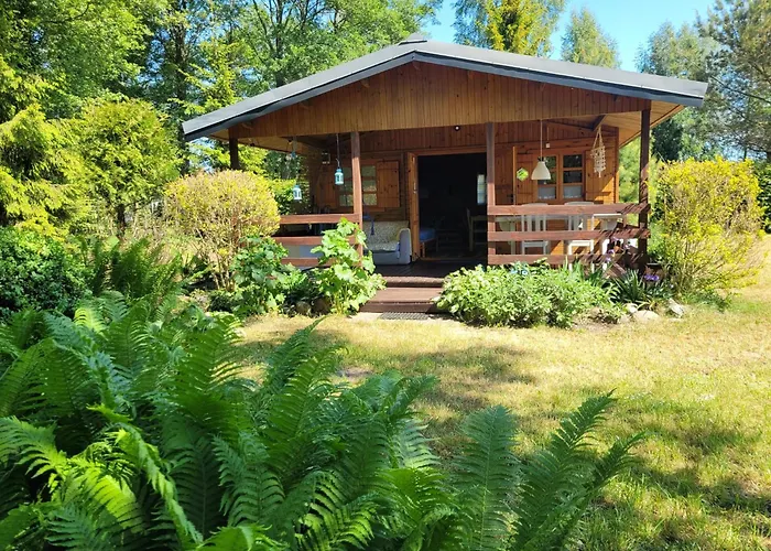 Dom wakacyjny Meduza Garden *